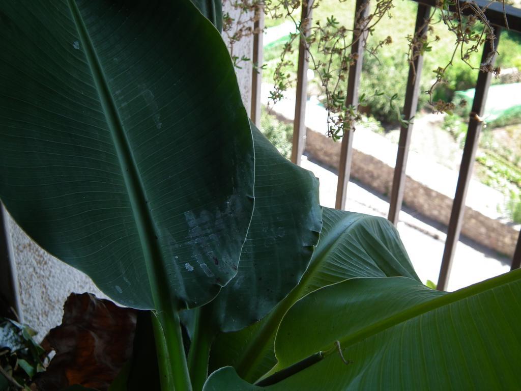 Casa Catharina Bed and Breakfast Σέου δ' Ουρζέλ Δωμάτιο φωτογραφία