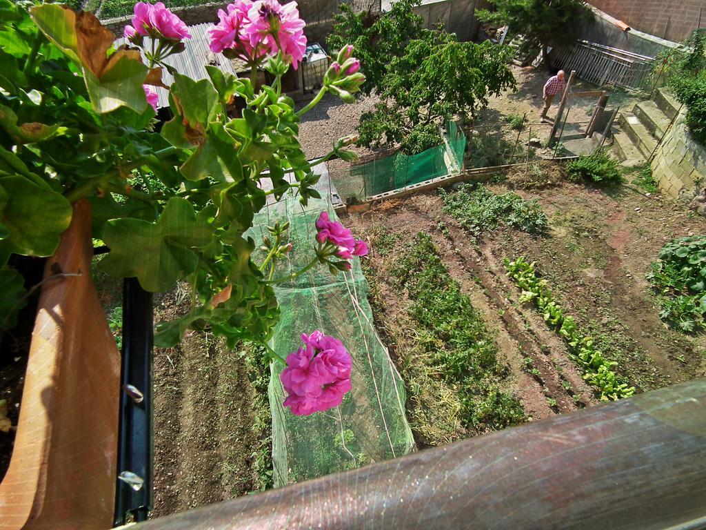Casa Catharina Bed and Breakfast Σέου δ' Ουρζέλ Εξωτερικό φωτογραφία